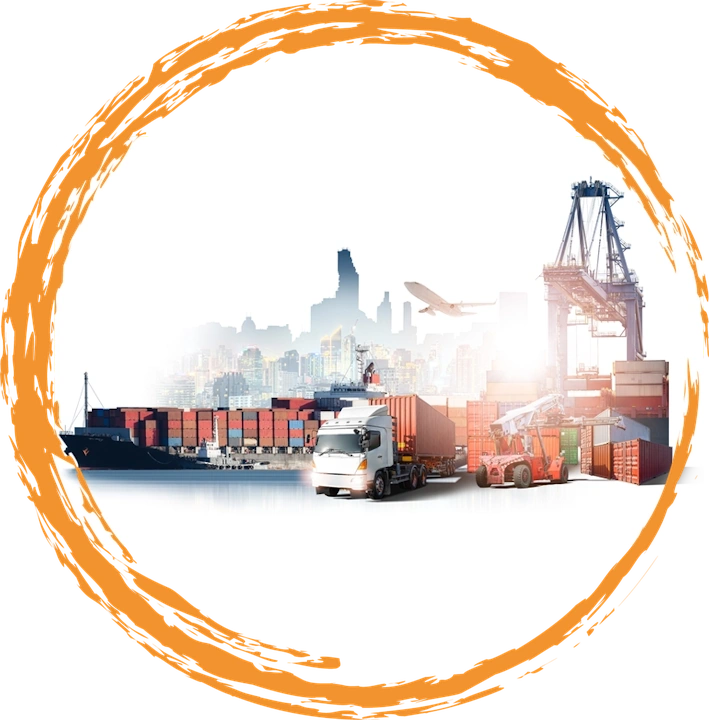 Sea Cargo Logistics Service